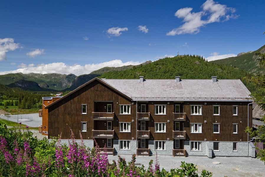 Stavtaket – billede 2