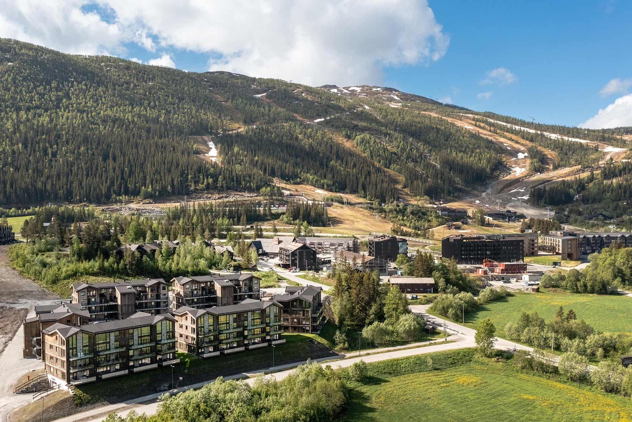 Fjellnest – billede 3